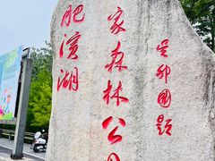 -合肥滨湖国家森林公园