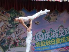 -灵玲国际马戏城