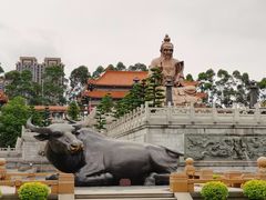 -广东圆玄道观