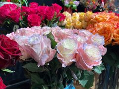 -双季花艺园艺市场(浦东店)