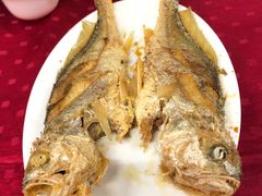 -蛇口康乐快餐鱼仔档(翠苑小区店)
