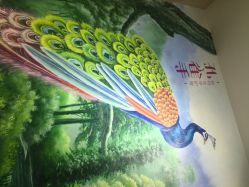 孔雀手植物美甲(城西银泰店)-孔雀手美甲美睫护理