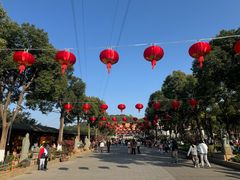 -仙岳公园
