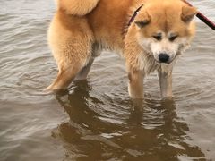 -金梦海湾浴场
