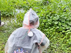 -尚贤河湿地