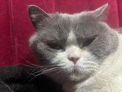 -暗楼·剧本杀·桌游