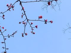 -白鹭湾湿地公园