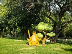 -北京西山国家森林公园