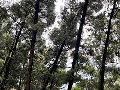 -金堂县云顶石城风景区