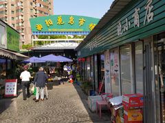 -曲阳花鸟市场(曲阳路店)