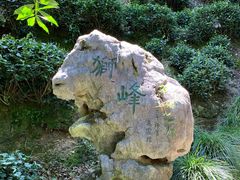 -十八棵（老龙井）御茶园(老龙井店)