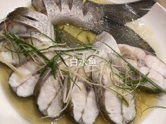 -莆鑫海鲜城(浏河店)