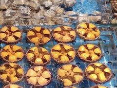 -连鹭海鲜·海肠捞饭·海胆饭(星海店)