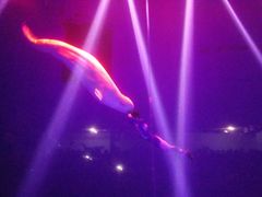 -芜湖新华联大白鲸海洋公园