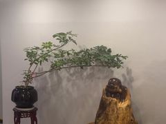 -金蚁康•经络调理•肩颈按摩(万达金街店)