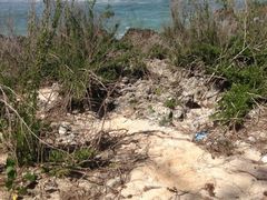 iphone_upload_pic-天宁岛