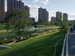 -坝河休闲公园