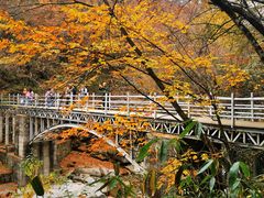-光雾山旅游景区