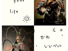 -中国美术学院-美术馆