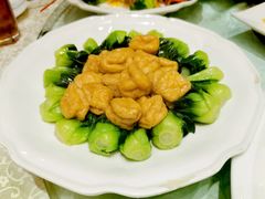 青菜鱼面筋-燕云楼(云南路店)