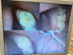 -牙博士口腔品牌连锁(杨浦店)