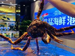 -海都六福酒家(世博广场店)