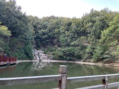 -大伊山景区