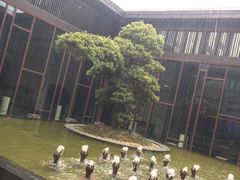 -上海崇明金茂凯悦酒店