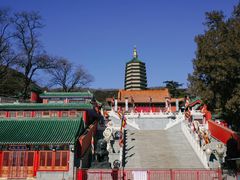 -八大处公园