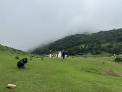 -大姆山草场