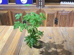 -灸春堂·专业艾灸·连锁品牌(丰潭路店)