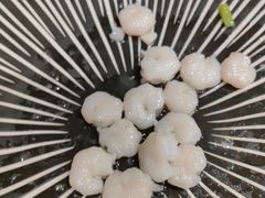 -新雅粤菜馆(南京东路店)