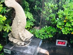 -西安国际创新人才交流中心•药浴温泉