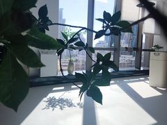 -瀚森大厦