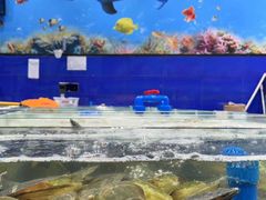 -小海豚·老字号海鲜餐厅(三亚湾店)