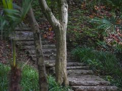 -南京珍珠泉风景区