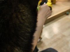 -南京Hallo宠物乐园·哈罗犬舍·柴犬繁育基地