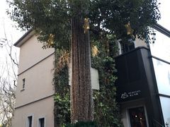 -徐家汇源景区-衡山坊