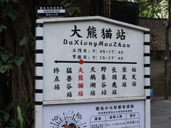 -深圳野生动物园