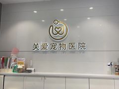 -关爱宠物医院·猫科中心·消化科(滨湖万达分院)