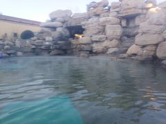 -仁爱团泊湖温泉中心