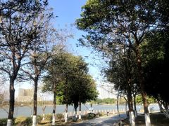 -琅岐红光湖公园