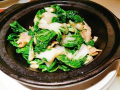 锅气奶白菜-京华烟云·北京烤鸭(领展购物广场·中关村店)