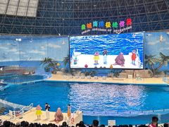 -泉城欧乐堡海洋极地世界