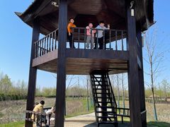 -泗洪洪泽湖湿地景区