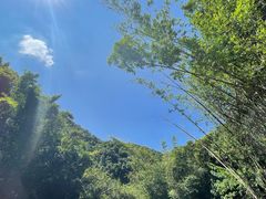-紫云谷景区