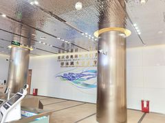 -重庆市奥林匹克体育中心-游泳跳水馆