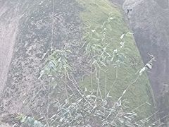 -嵖岈山风景区