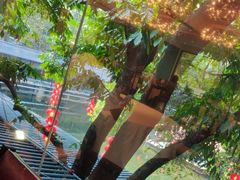 -侨美·唐荔园·40年地道粤菜