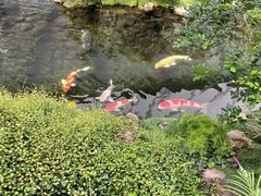 -罗红摄影艺术馆